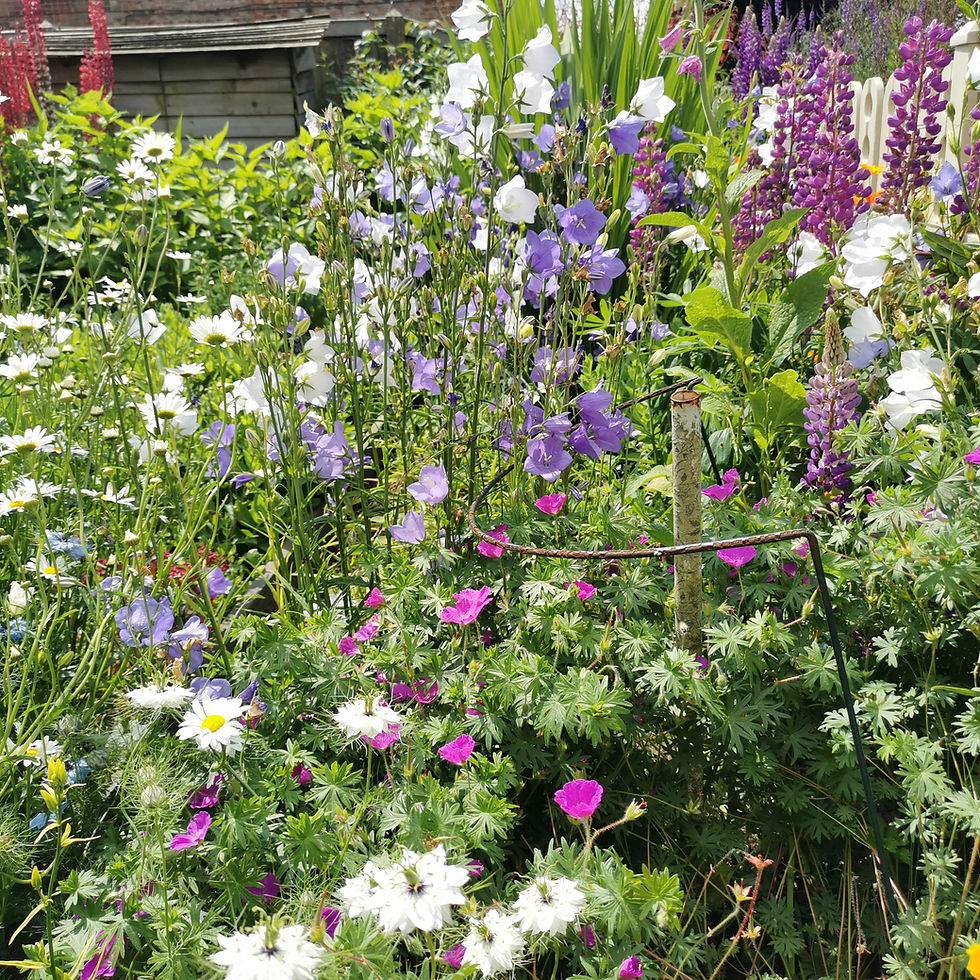 English cottage garden