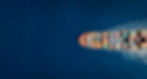 AdobeStock_525862227.jpeg