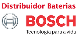bosch2.png