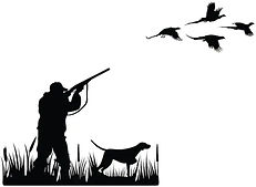website, pheasant.jpeg