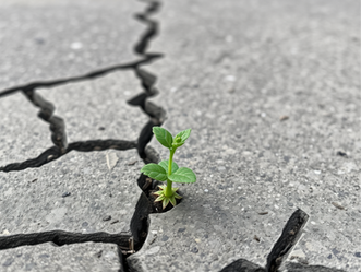 “You’re Not Broken. You’ve Just Been Surviving.”