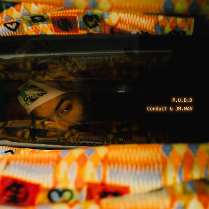 PUDD Final cover type 2k x 2k.png