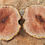 Thumbnail: Large Wild Cherry Burl Bowl (21WS9) SOLD