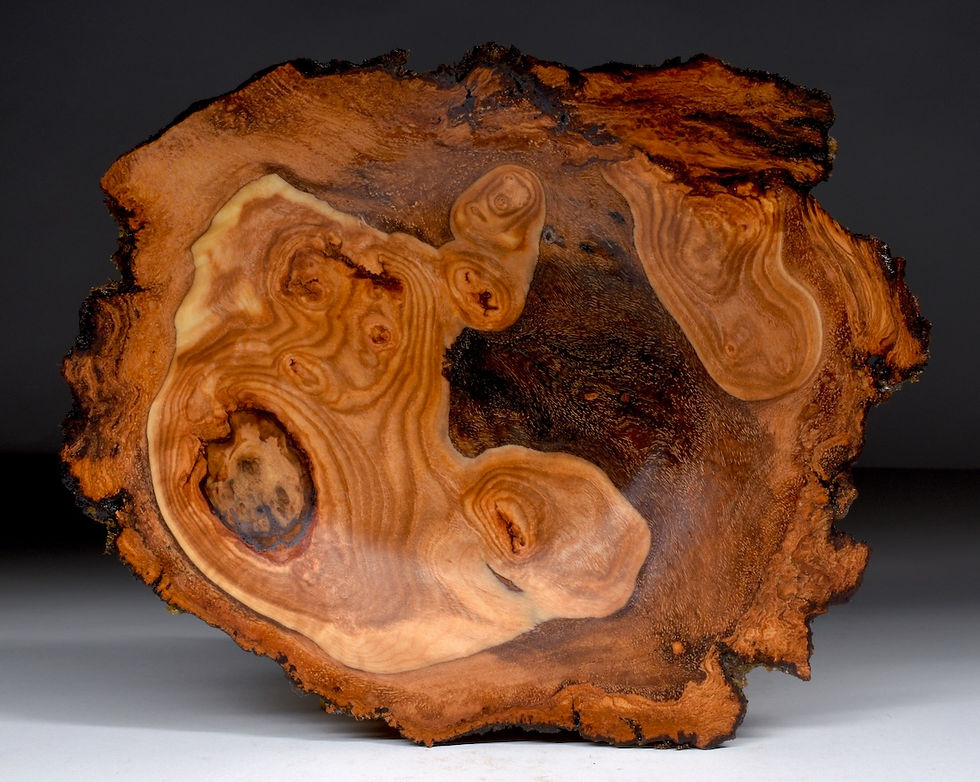 Thumbnail: Aspen Burl  Bowl (26WS24)