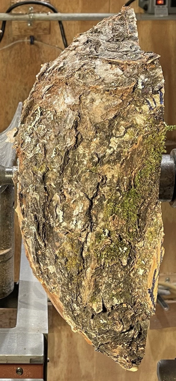 Thumbnail: Flaming Birch Burl Bowl (23SF7) SOLD