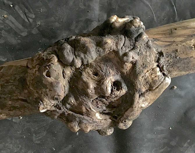 Very Rare Sumac Burl