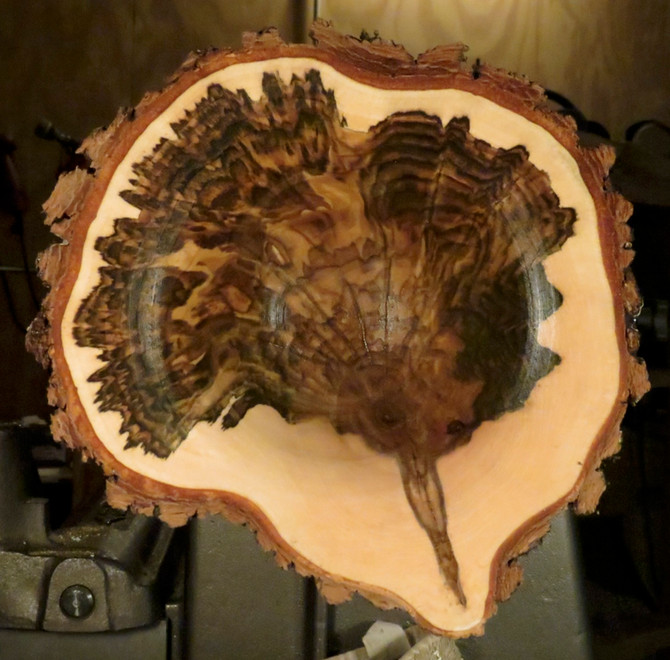 Sugar Maple Burl Turned End-Grain