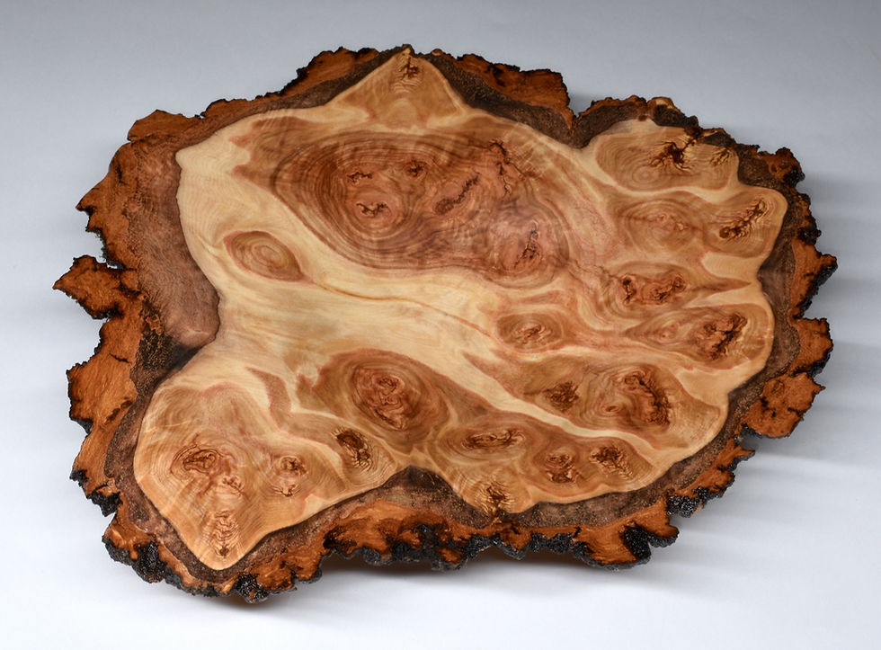 Thumbnail: Low Profile Aspen Burl Bowl  (24WS11) SOLD