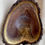 Thumbnail: Colorful Black Walnut Crotch  Bowl (24SF13) SOLD