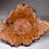 Thumbnail: Stunning Aspen Burl Bowl (22WS11) SOLD