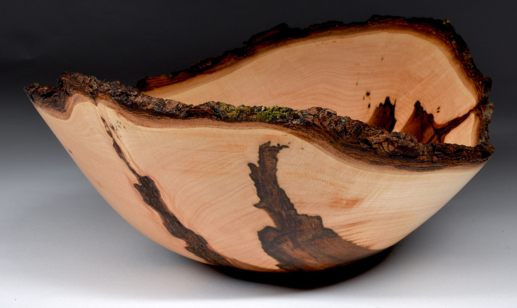 Sugar Maple Crotch Bowl (26WS1)