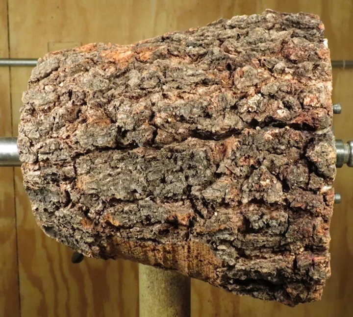 Wild Cherry Burl Bowl 18sf9 Sc358 Loupignoletbowls2