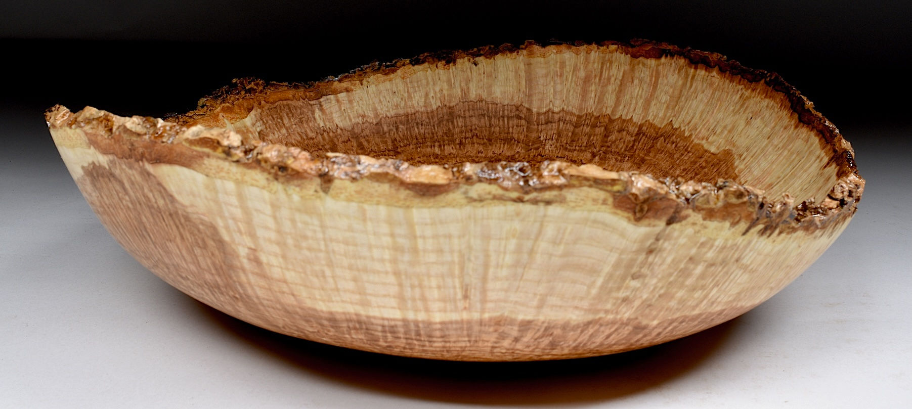 Black Ash Burl  Bowl (26WS26)