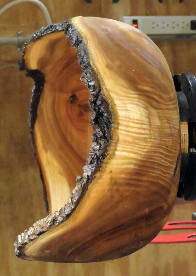 Buckthorn Crotch