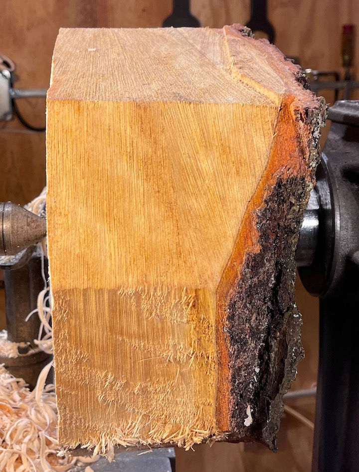 Thumbnail: Flaming Birch Root Burl Bowl (23SF15) SOLD