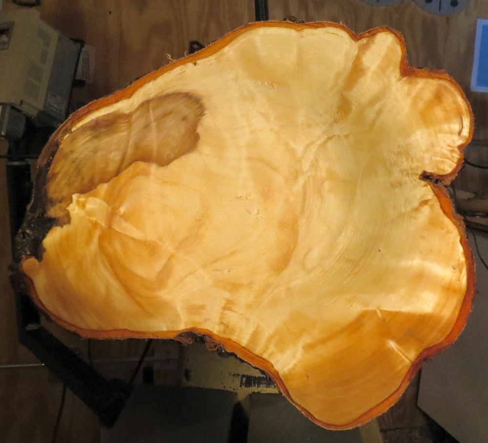 Turning a Large White Birch Burl