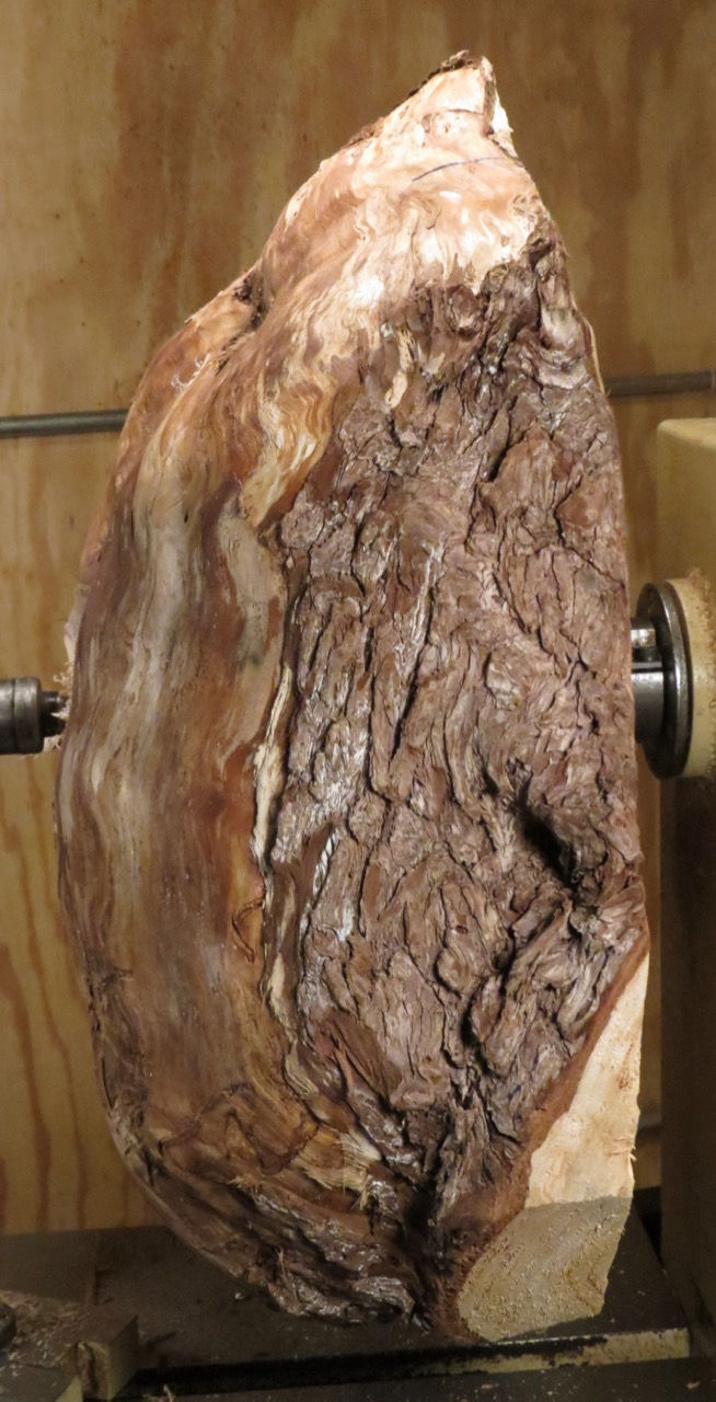 Thumbnail: Large Spalted White Cedar Burl Bowl (18SF4) SOLD