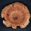 Thumbnail: Large Wild Cherry Burl Bowl (21WS9) SOLD