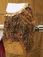 aspen burl on a lathe