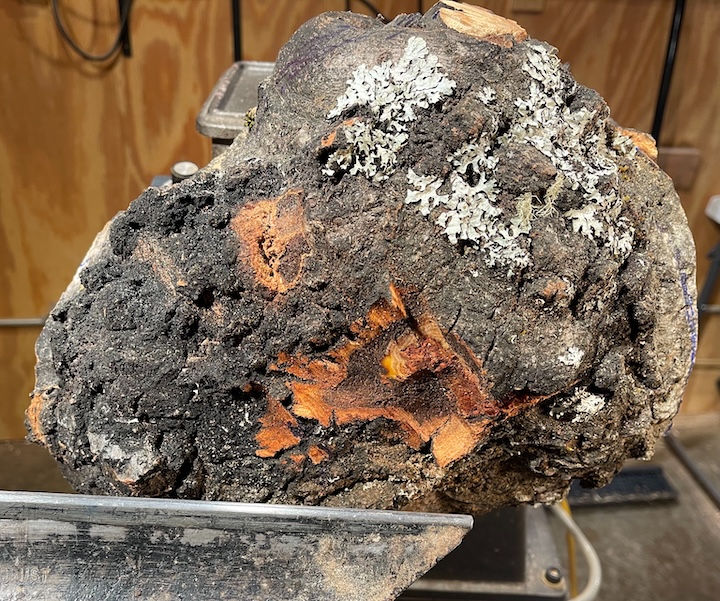 Thumbnail: Flaming Aspen Burl Bowl (25W16) SOLD