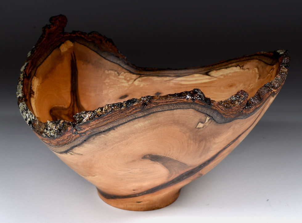 Thumbnail: Spalted Sugar Maple Crotch Bowl (26WS10) SOLD