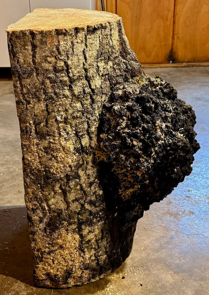 Thumbnail: Large Aspen Burl Bowl  (26WS12) SOLD