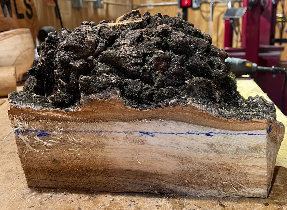 Thumbnail: Aspen Burl Bowl  (24WS2) SOLD
