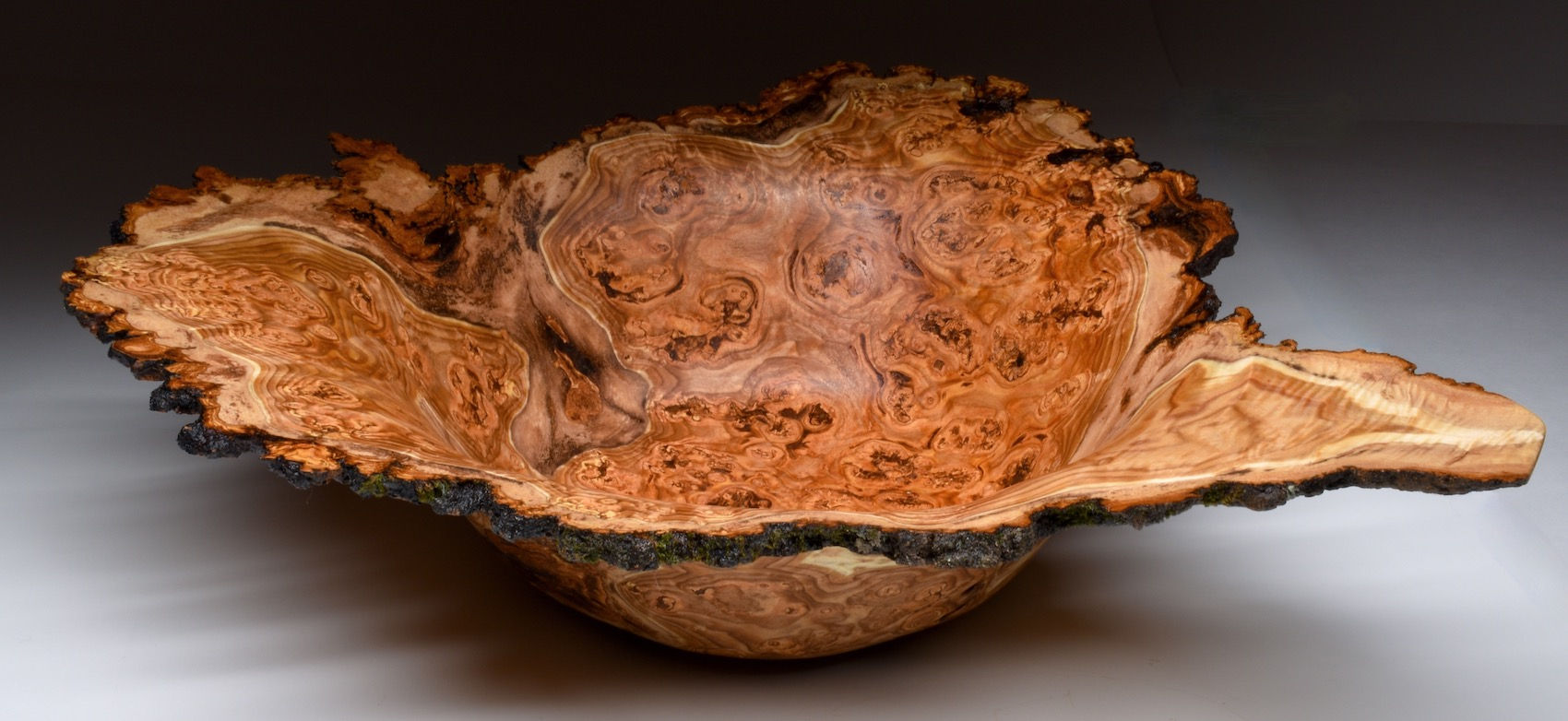 Stunning Aspen Burl Bowl (22WS11) SOLD