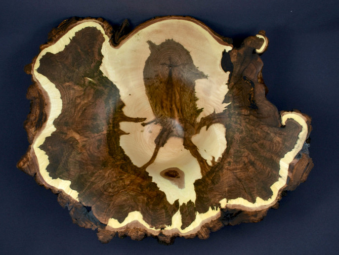 Spooky Figure Inside a Sugar Maple Burl