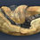 Thumbnail: Large White Cedar Burl Bowl (20SF30) SOLD