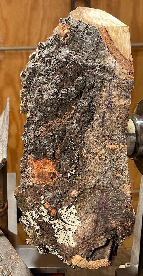 Thumbnail: Flaming Aspen Burl Bowl (25W16) SOLD