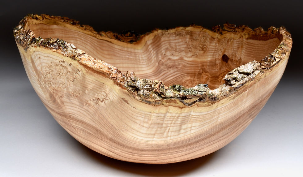Thumbnail: Black Ash Burl  Bowl (26WS15)