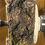 Thumbnail: Highly Spalted  Aspen Burl Platter  (24WS8) SOLD