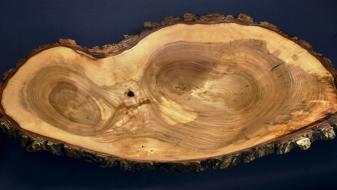 Large Elm Crotch Bowl