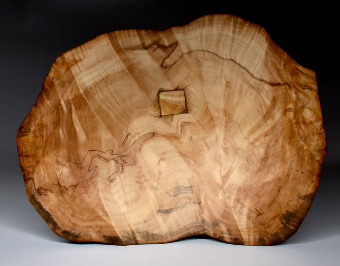 100 Year Old "Christmas Tree" Pine Burl Bowl