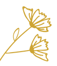 fiori dx.png