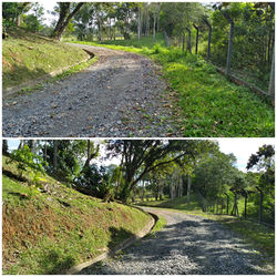 Roçadeira em terreno