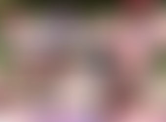 Outdoor Twins Cake Smash Session