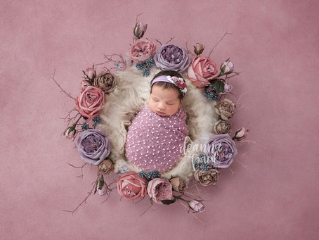 Roseville Newborn Photographer
