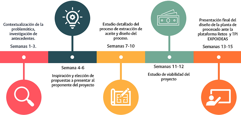 imagen_proceso_pagina_web_TPI.png