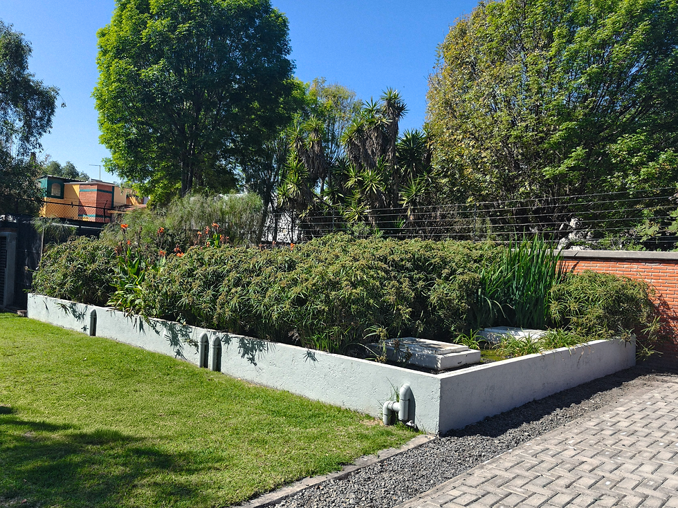 IMG20260108112800_1.png