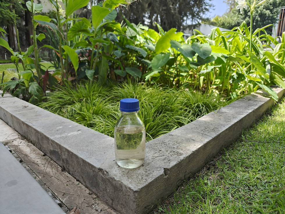 Sistema de tratamiento de ecohotel