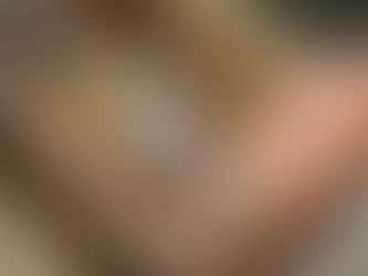 Organising Outdoor and Garden Equipment: A Seasonal Guide