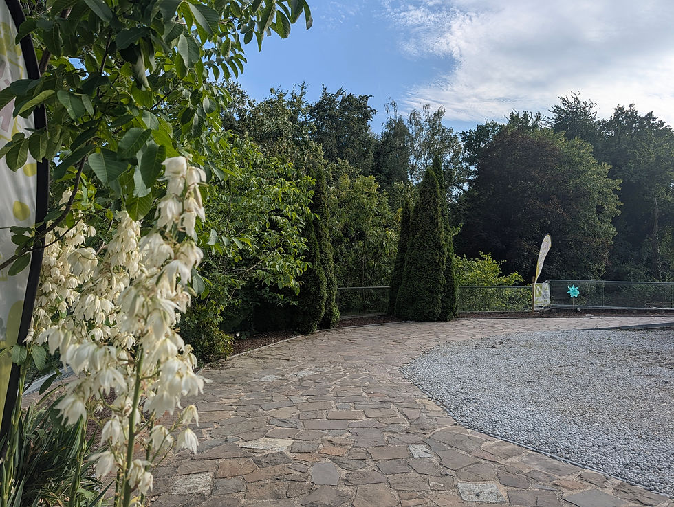 Außenbereich / Parkplatz