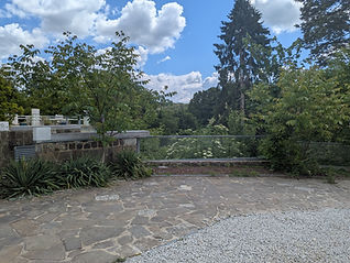 PXL_20250523_110637606.jpg