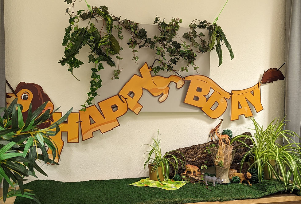 Safari Geburtstag