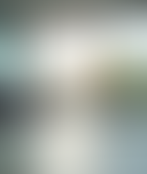 Enhance Your Brand with Expert Service Solutions Today