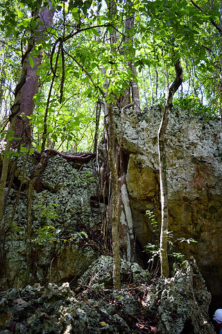 Green+Grotto+Caves2