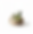 Untitled design (1).png