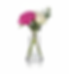 Generated Image September 20, 2025 - 11_17AM.png